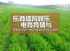 种植基地四