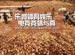 种植基地二