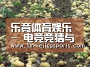 种植基地八(图1)