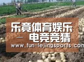 种植基地七(图1)