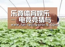 种植基地三