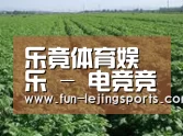 种植基地五(图1)