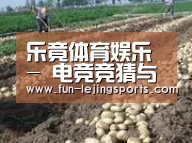 种植基地八