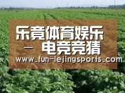 种植基地五