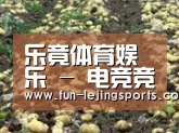 种植基地七