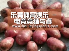 产品展示标题5