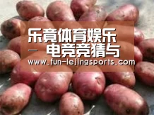 产品展示标题5(图1)