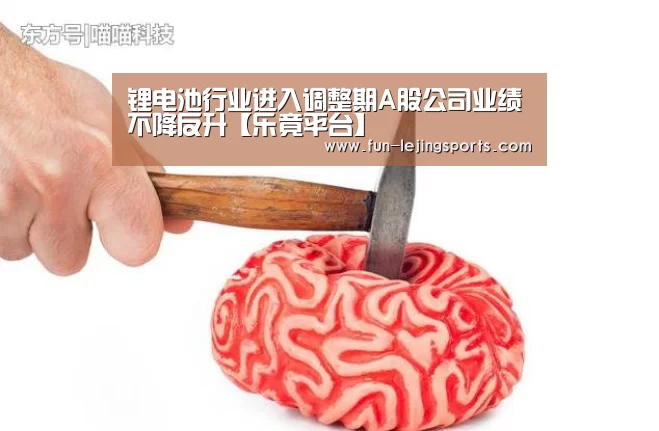 乐竟平台