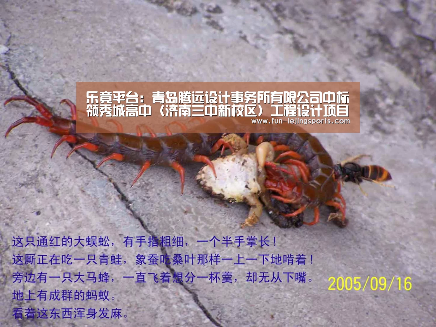 乐竟平台:青岛腾远设计事务所有限公司中标领秀城高中(济南三中新校区)工程设计项目(图1) 乐竟平台