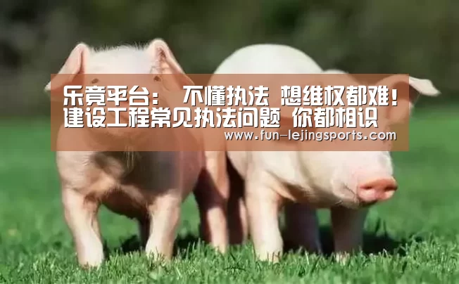 乐竟平台:
不懂执法 想维权都难!建设工程常见执法问题 你都相识吗?(图2) 乐竟体育官方