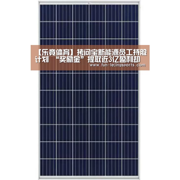 【乐竟体育】拷问宝新能源员工持股计划 “奖励金”提取近3亿盈利却越来越少(图1) 乐竟体育